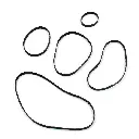 GT2 Timing Belt Closed Loop Rubber Belt 110mm 200mm 300mm 400mm 610mm for Width 6mm 3D Printers1.webp